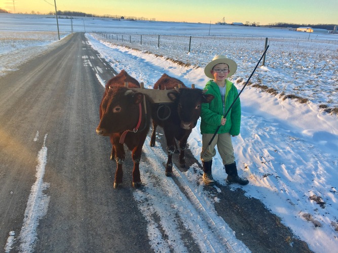 the-livestock-conservancy